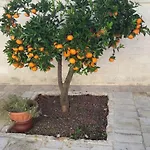 Il Mulino Del Monastero Conversano