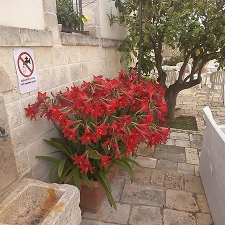 Il Mulino Del Monastero Panzió 4*