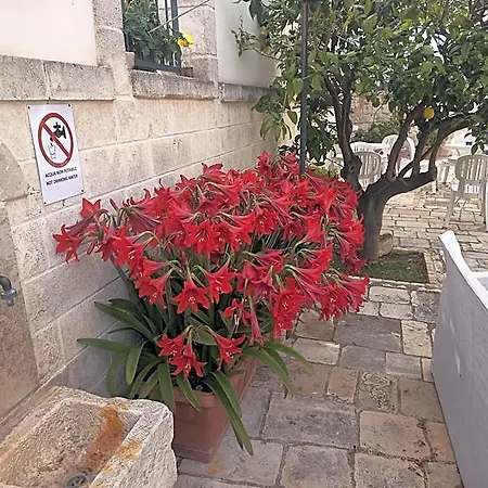 Il Mulino Del Monastero
